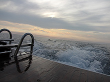 Oceanic